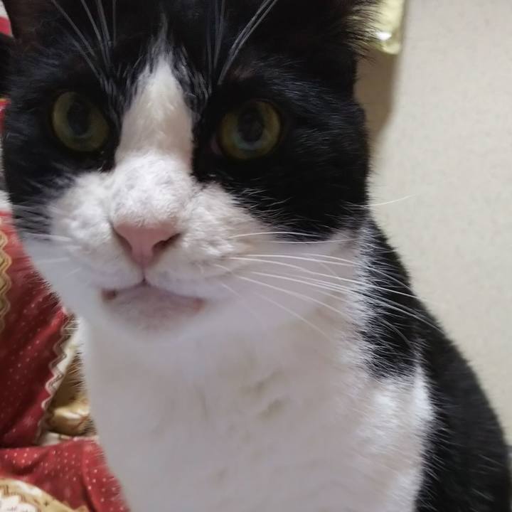 Ac3d8828 048c 4f7e 9dbb 7b607683ed99 1569021231205