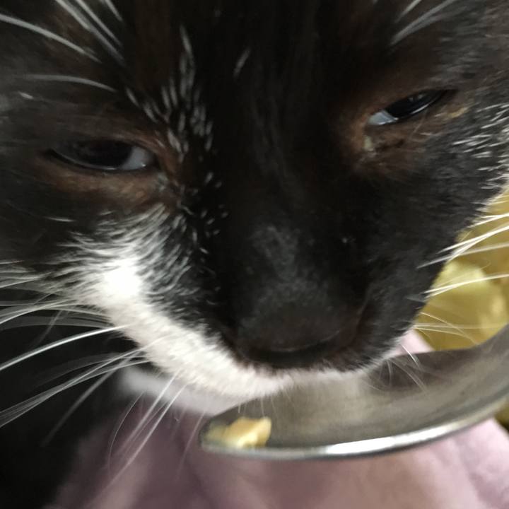 Ac3d88e2 126e 44f2 b801 e8f1baf5443d 1512532791702