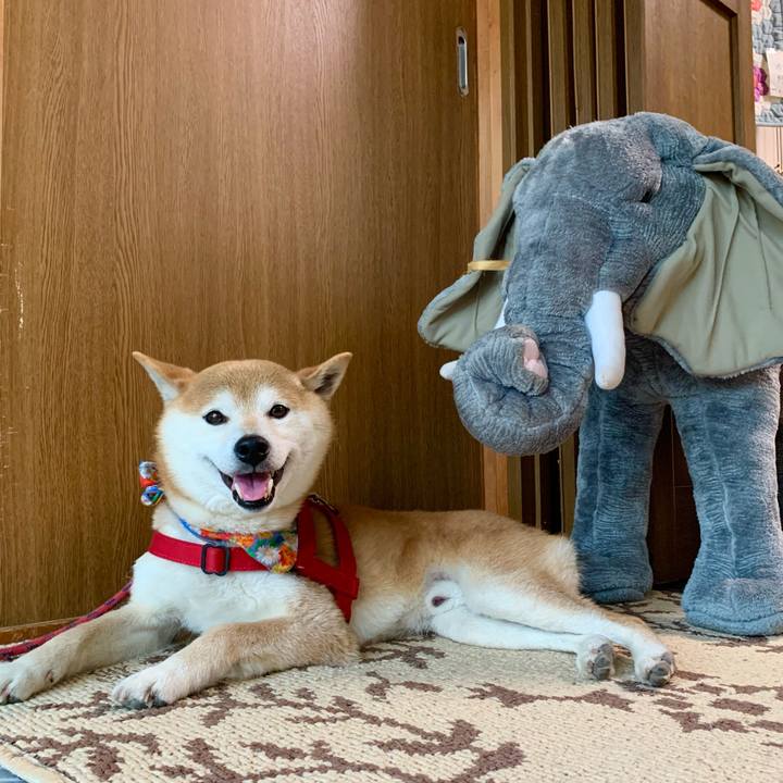 Ac3d91ae 4b88 4842 8e6b da981b93b131 1621077612457