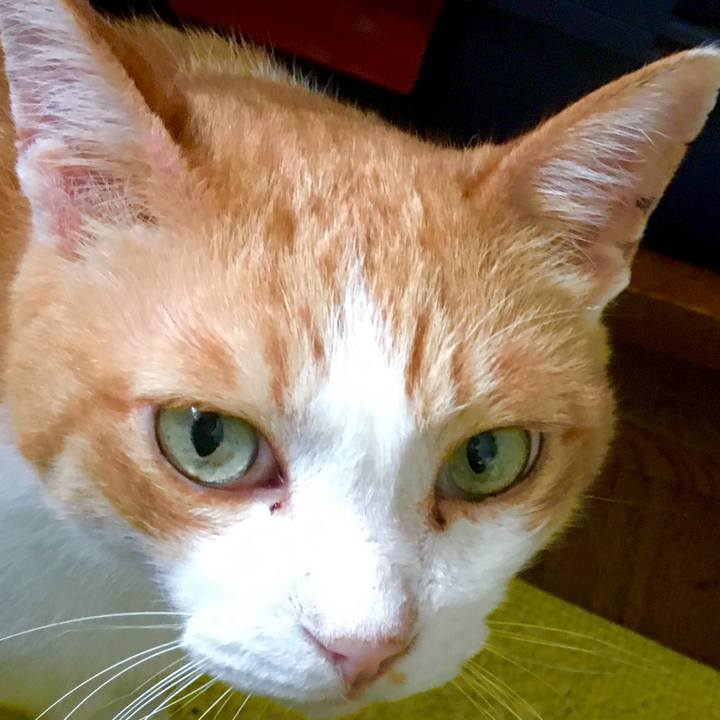 Ac3d939d ad9b 4f5b 82dd b22643f0819f 1564630354315