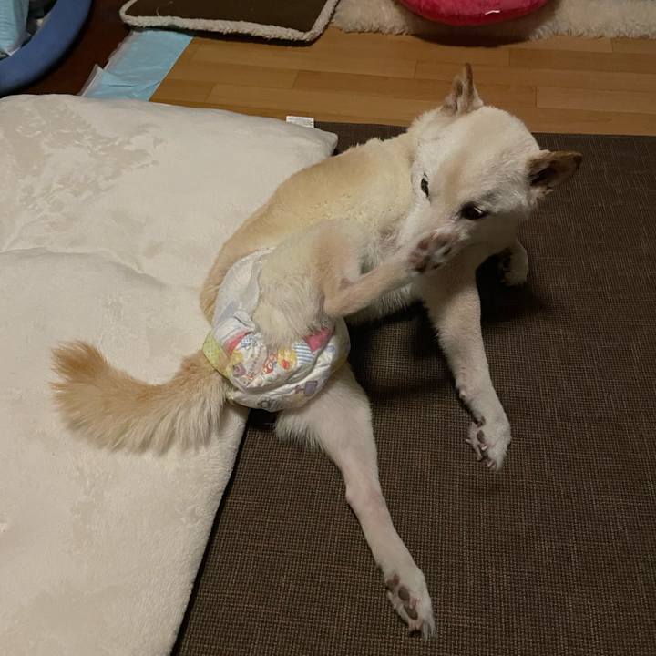 Ac3dc050 9e28 48c7 a7bd e746155f0569 1664036907071