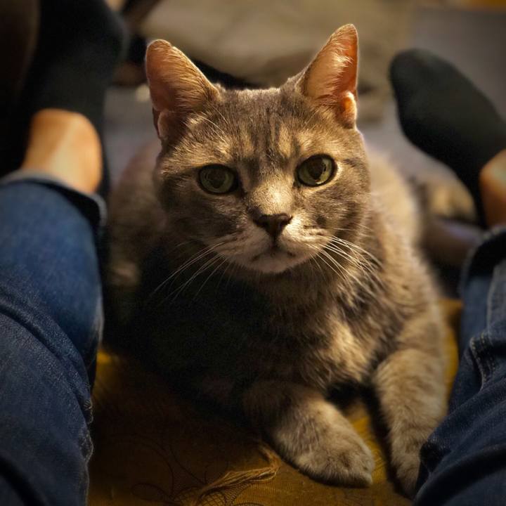 Ac3ddbb0 029d 43df 8ba0 601ca8c2799b 1536937396721