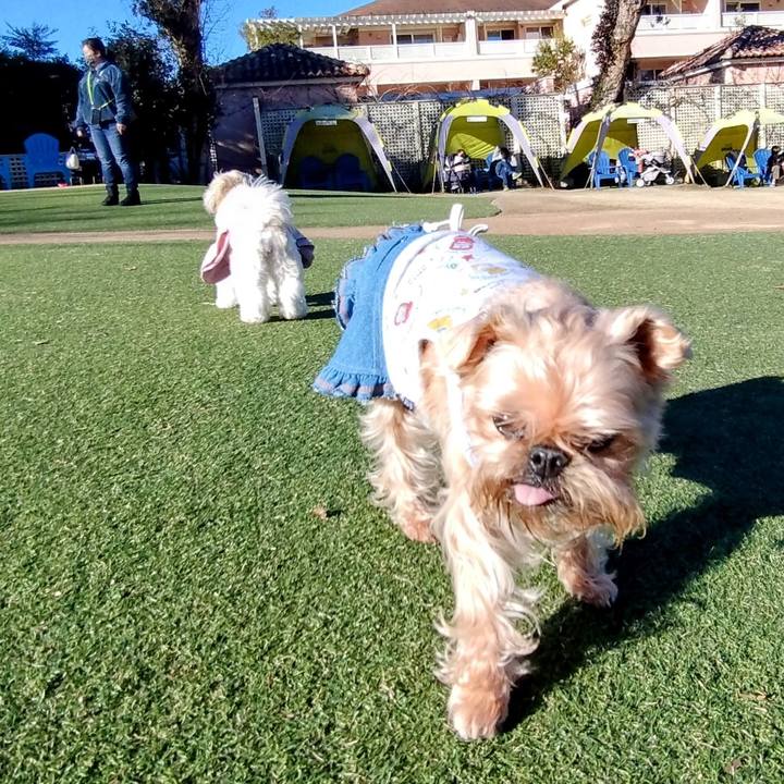 Ac3e3723 cb16 45e2 9270 85c5375950da 1671840174786