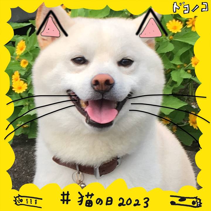 Ac3e3e99 a23e 4509 b35d cf333967552b 1677058886168