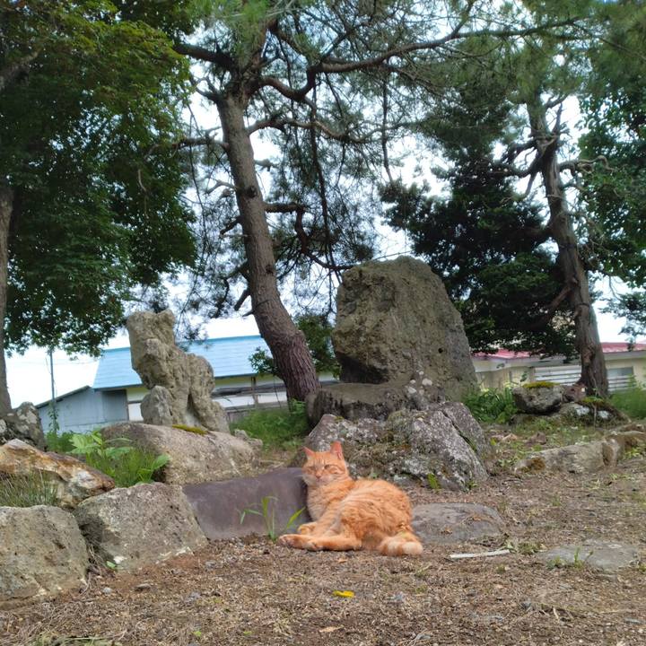 Ac3e4187 8b75 4e54 899d 006a0d75491a 1721034921166