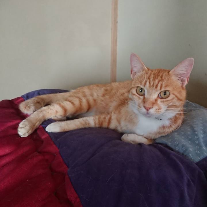 Ac3e4323 9084 4286 a7e2 bb529516b67a 1591400072446