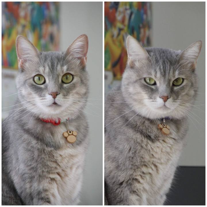 Ac3e4a63 4330 4f5f b25e b15b54505b57 1572516563071