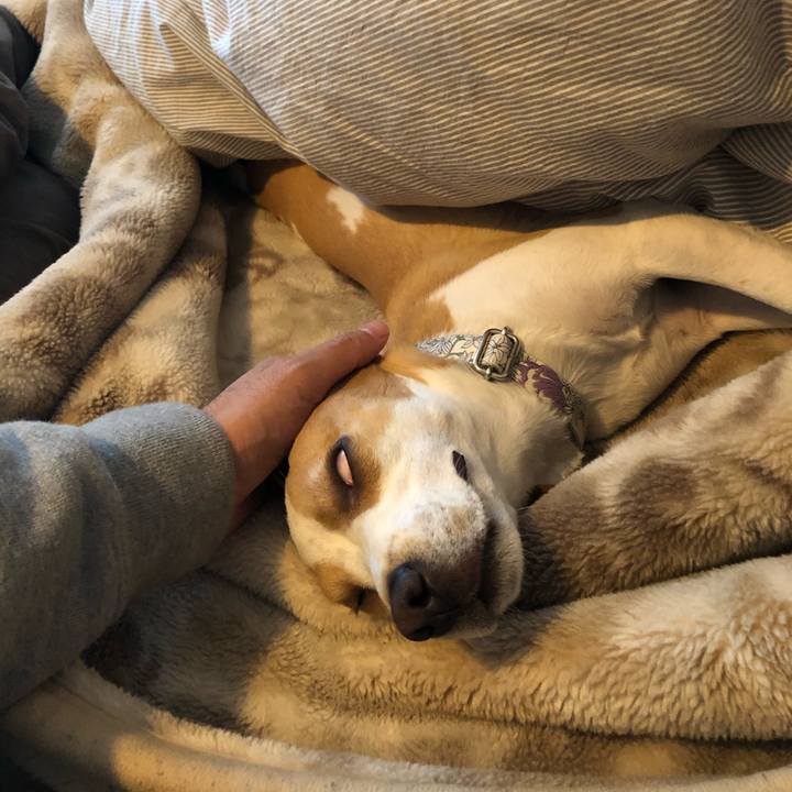 Ac3e712a a4e3 4e19 bdf1 62e8fc9bbd01 1575690343665