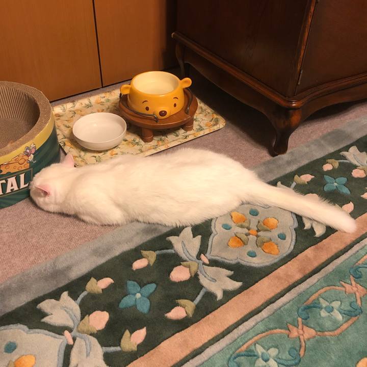 Ac3e75ac 7420 4a35 bae5 2a4daca8afe9 1621248315811