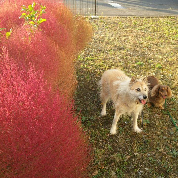 Ac3e8057 1e5e 4c40 967c 71cf75070d5f 1541918553285