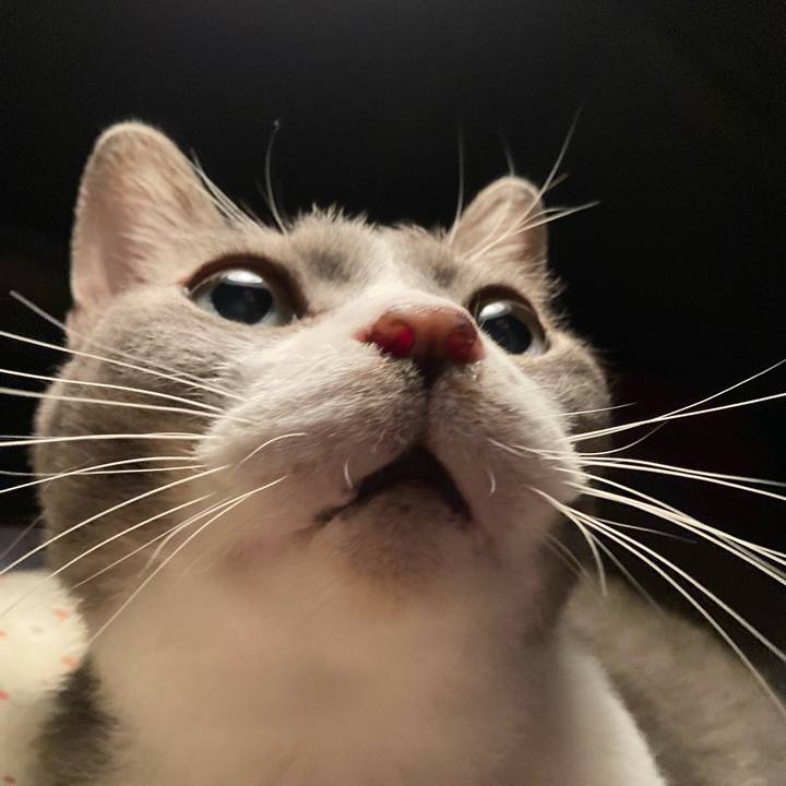 Ac3e8be3 8e50 4d89 bd1a ed561b06dbe2 1693055927472