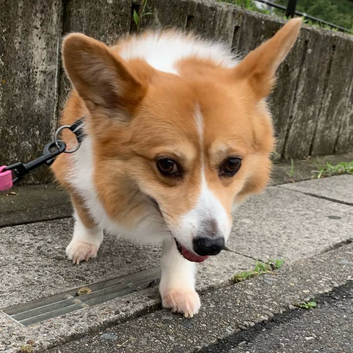 Ac3ec386 f51b 41a5 806b 504e46b14bb1 1593122465305