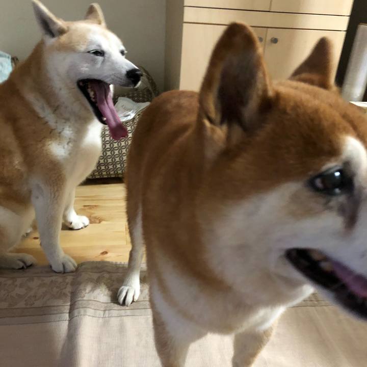 Ac3ec88f e15b 4d6d ab5c 655612d3bbf9 1536232593945