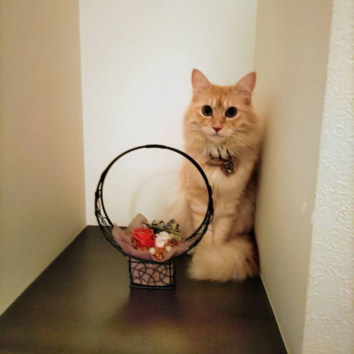 Ac3ee7fb fb60 4efc 903a 8f081ee55b37 1694870380891