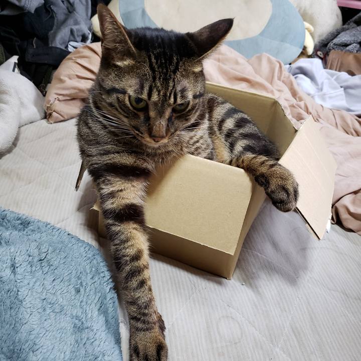 Ac3ef4f8 40d1 4b4c bd2d a8c9e38ad399 1589083803178