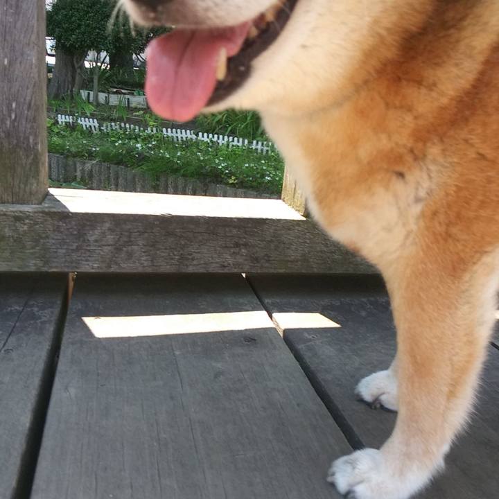 Ac3f8037 5643 479c 8d22 557307899fc2 1623211711331