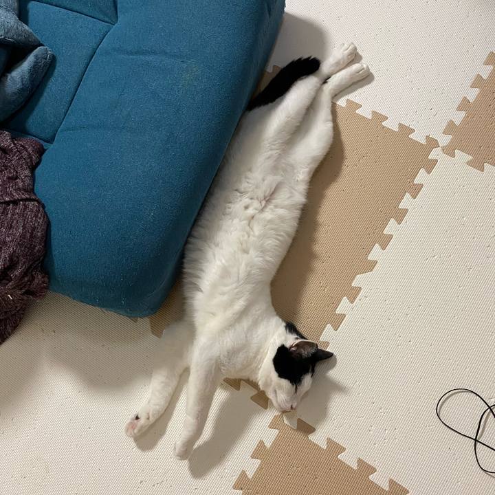 Ac3f8044 3ffd 40df b572 83337d5a42ec 1600867240426