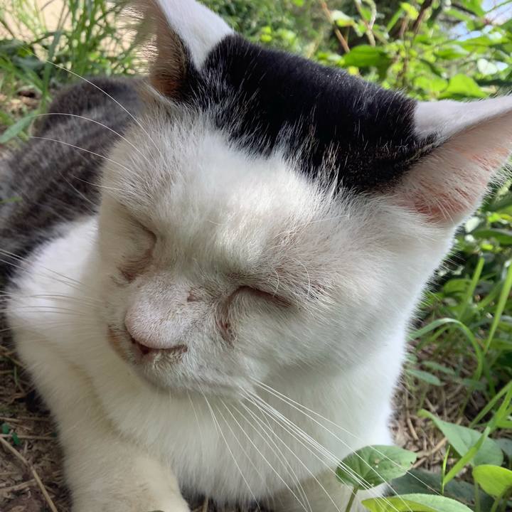 Ac3fbd1a b819 4d0b 8fa6 1fe111dbee8c 1600731381134