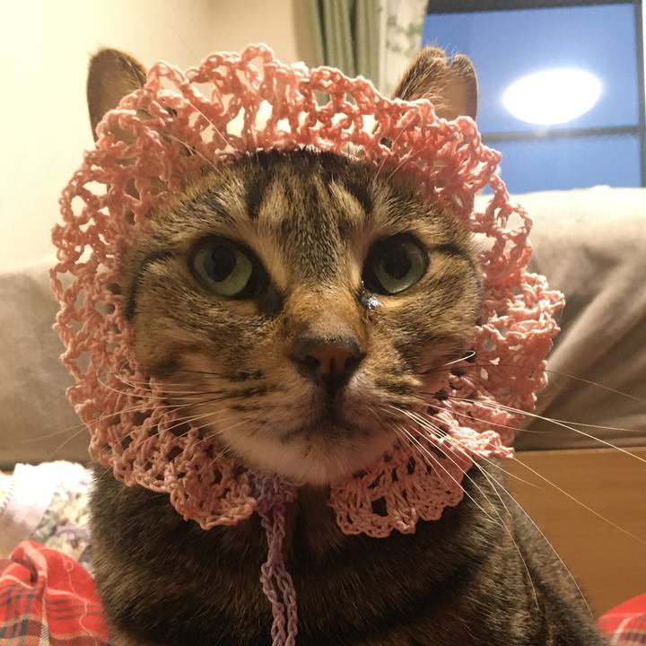 Ac3fe40a c6cd 41cd beb2 fba009e39cb0 1586079950502