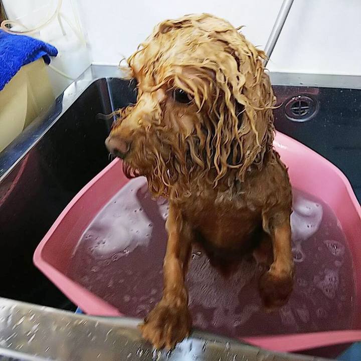 Ac400137 7f6a 43c0 a6dc 60a4e55caaaf 1549875183098