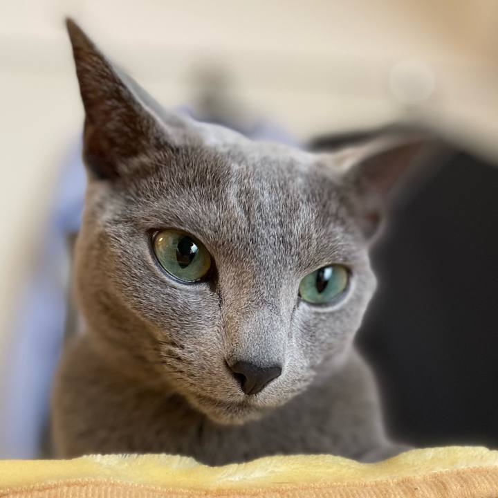 Ac400f0d 1fc9 4db3 b032 34520a204ab3 1653346520281