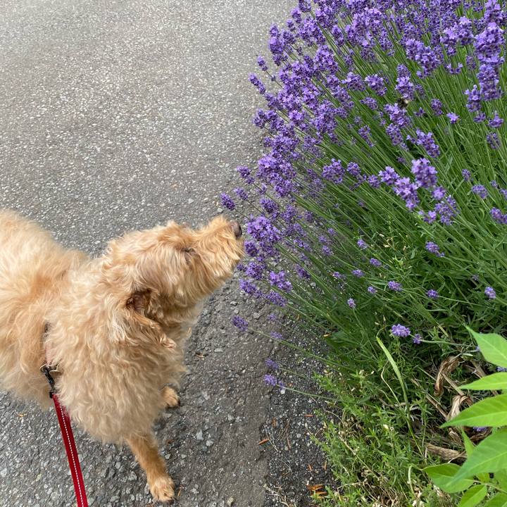 Ac401368 51e7 4357 83ee a756834356a0 1656367845291