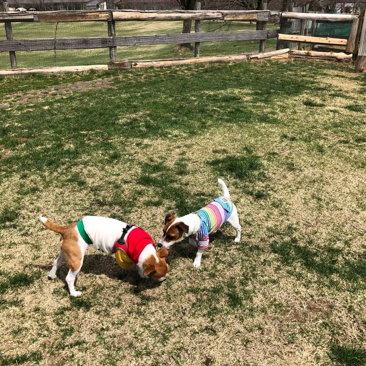 Ac403028 0b27 47be 86aa 159cf23e2193 1523695755346