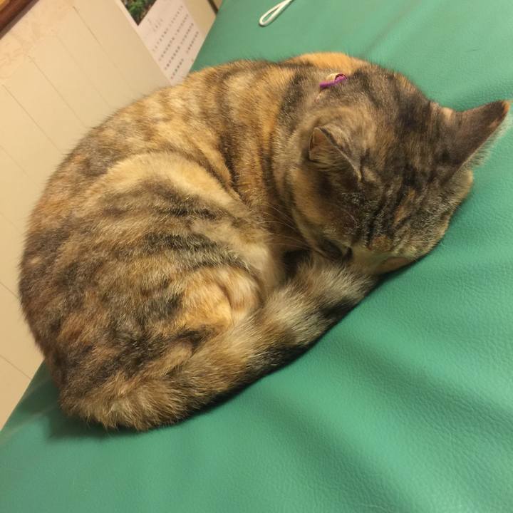 Ac403bbc 0fe2 4905 b609 44fbc7915525 1557068461156