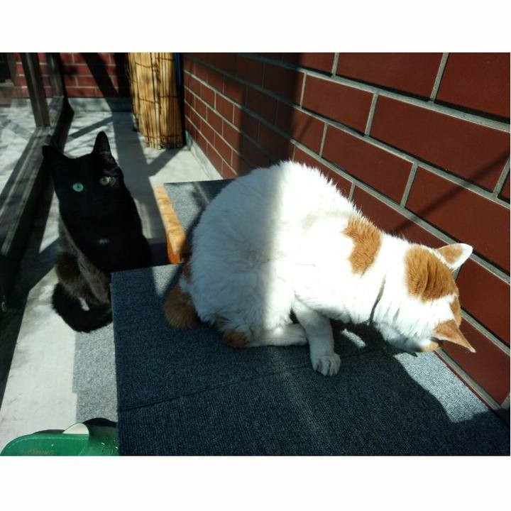 Ac4051bc 1f95 4120 88dc cf2e83d6c6d0 1588990508312