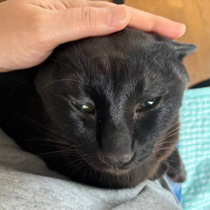 Ac40c249 28c5 4a20 9855 cdc8a0dad1fb 1744509485735