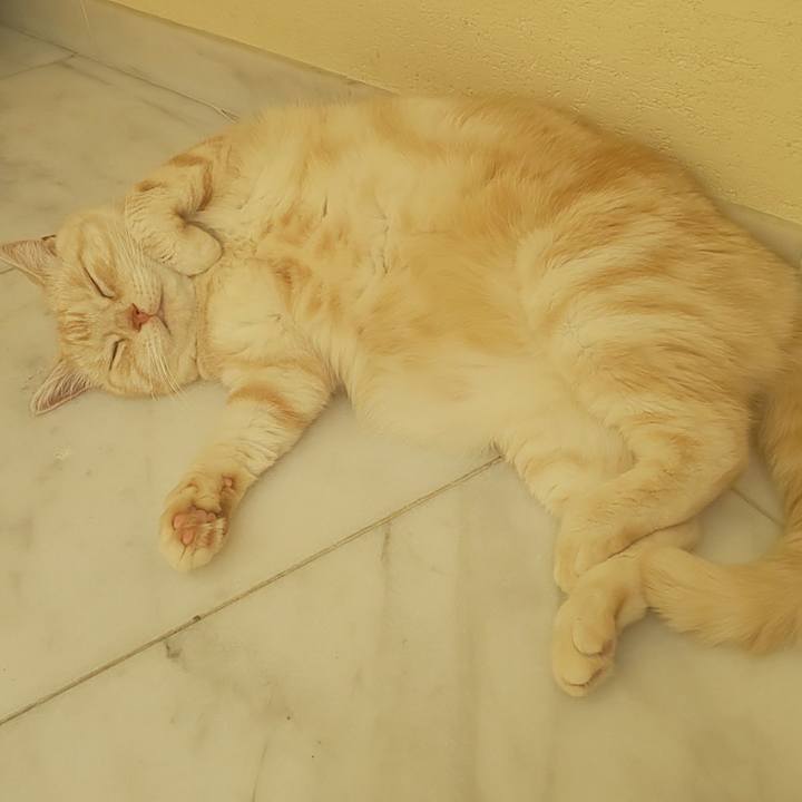 Ac40f1a7 23d5 417b 8b9a 39e77725fc5a 1597196460573