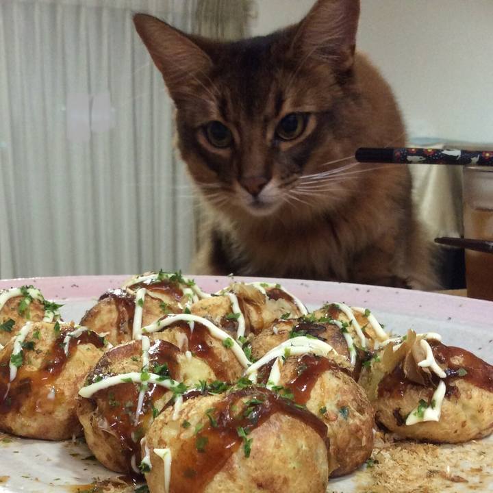 Ac40fbc9 d480 4e3a b728 1db361078680 1630118901105