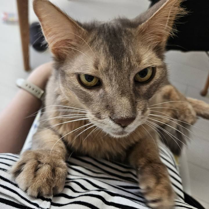 Ac40fe93 0830 4a18 b8e1 f509f39bec01 1717495469448