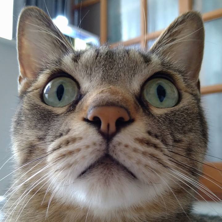 Ac41325f db0c 4cf5 a0c6 3ebeacfb376b 1660958765880