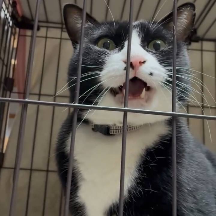 Ac41768d 44fc 46a4 a4e4 837164adf51b 1766661596033