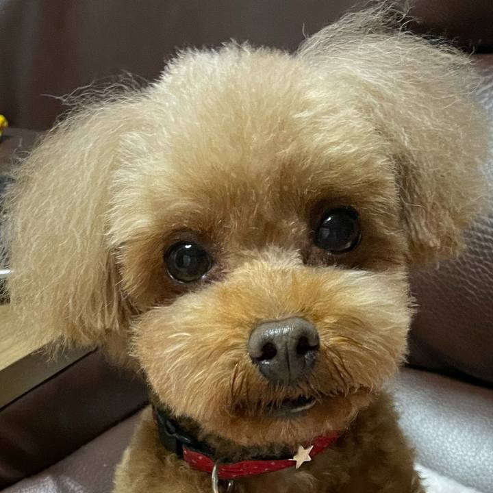 Ac41bb21 fa83 4e63 acf9 b8e668231566 1681729382406