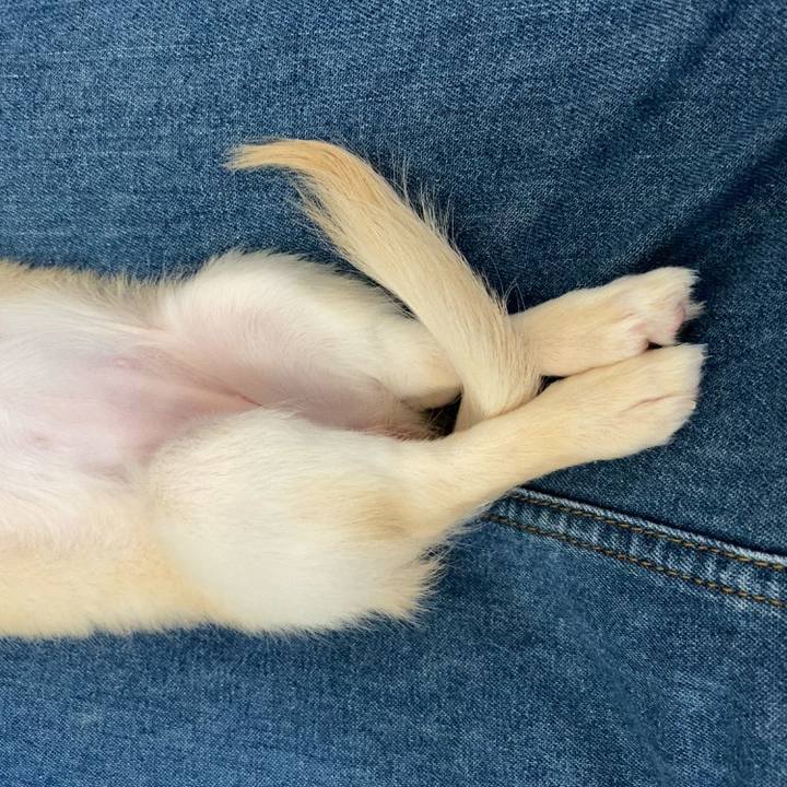 Ac422bbf 5db7 4af4 8435 adfe9d6cd700 1591338676674