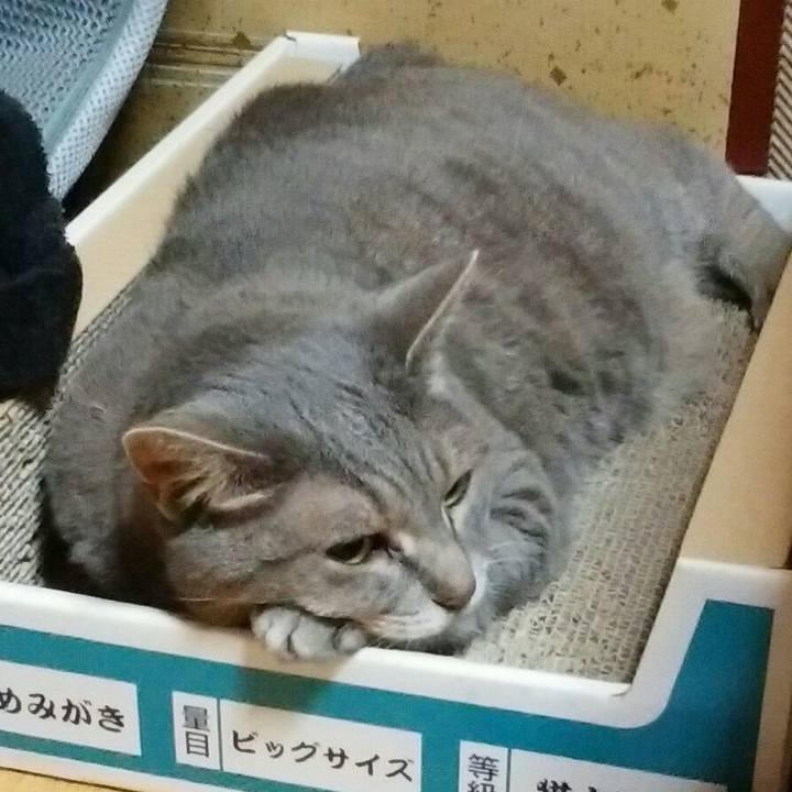 Ac4243cb 10a5 4c8e 8ee5 79aa9c46576c 1595681134604