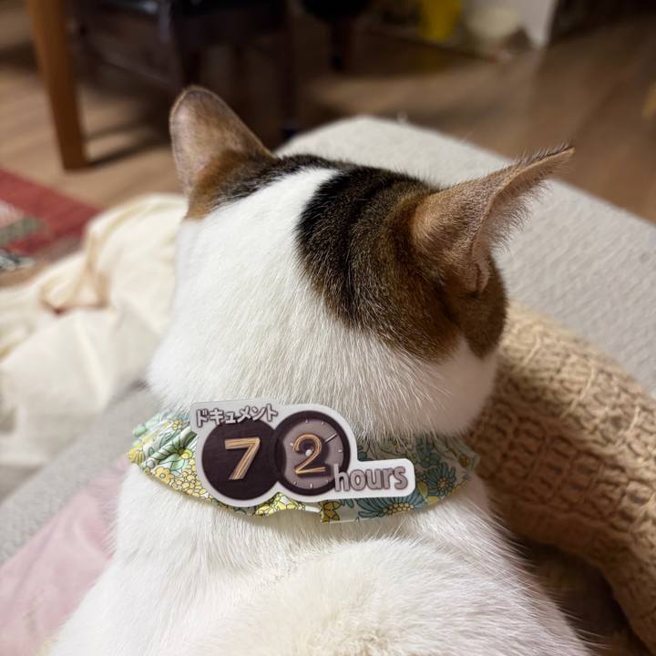 Ac425a46 50b7 4972 bbed 02212788e31f 1774098721807