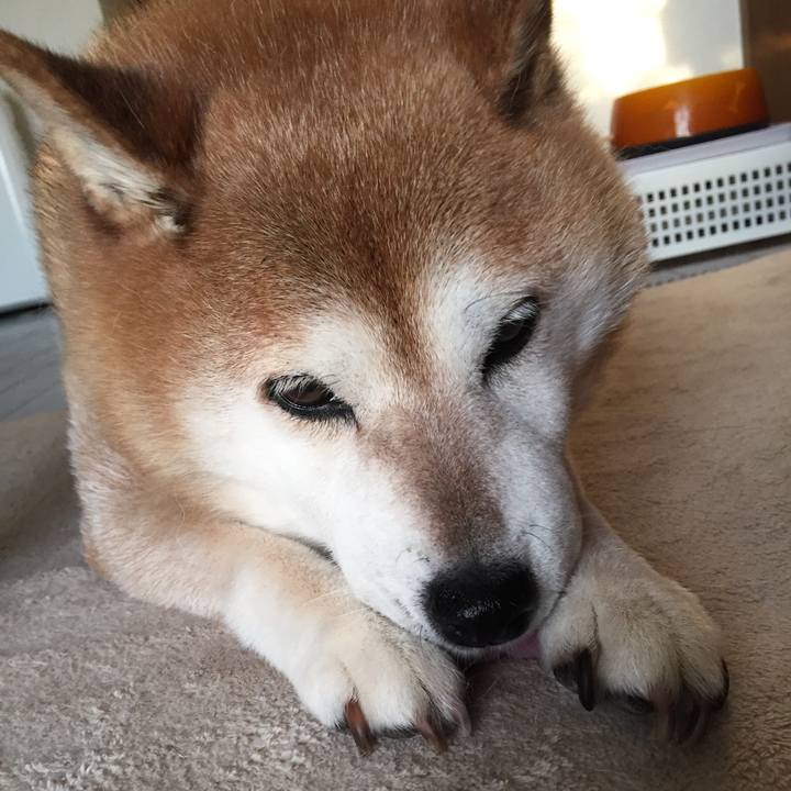 Ac4265e0 2585 4501 a904 d66183bca96d 1532336764519