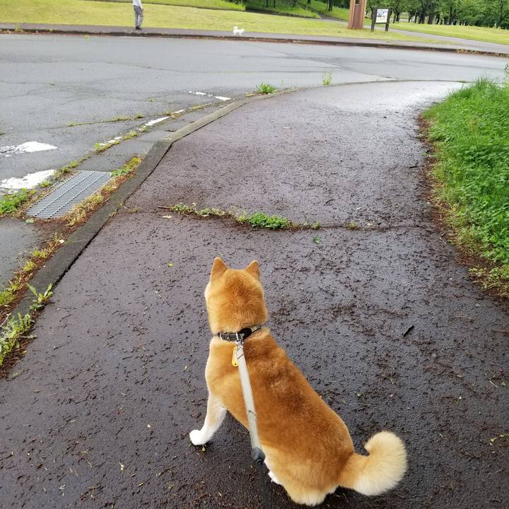 Ac42bb93 5737 431c 9c8c dd645c545102 1621576513138