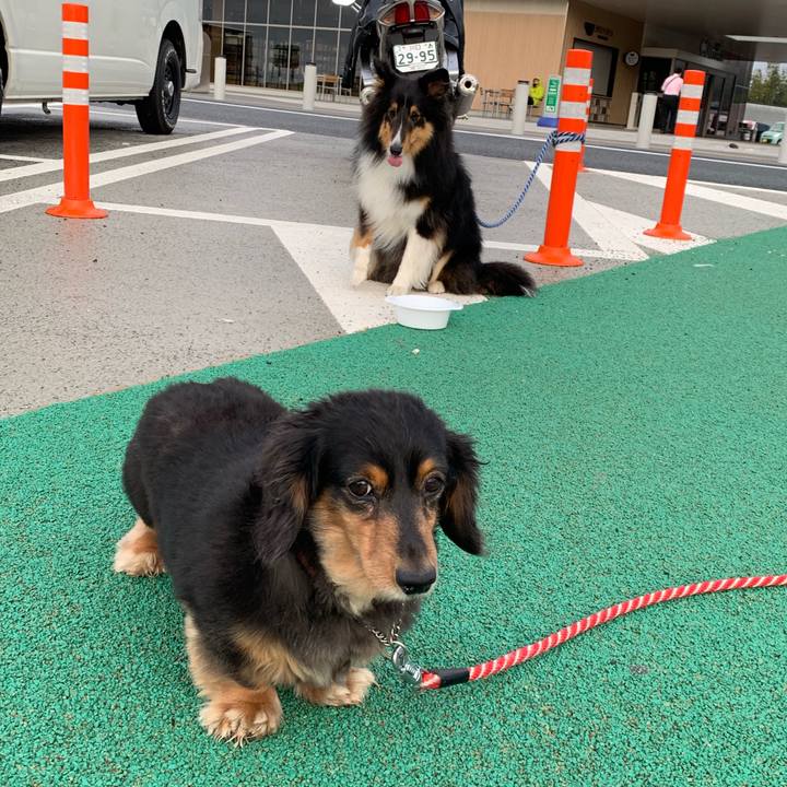 Ac42cd7f cb68 4d03 8977 9c0ce9366761 1556745577620