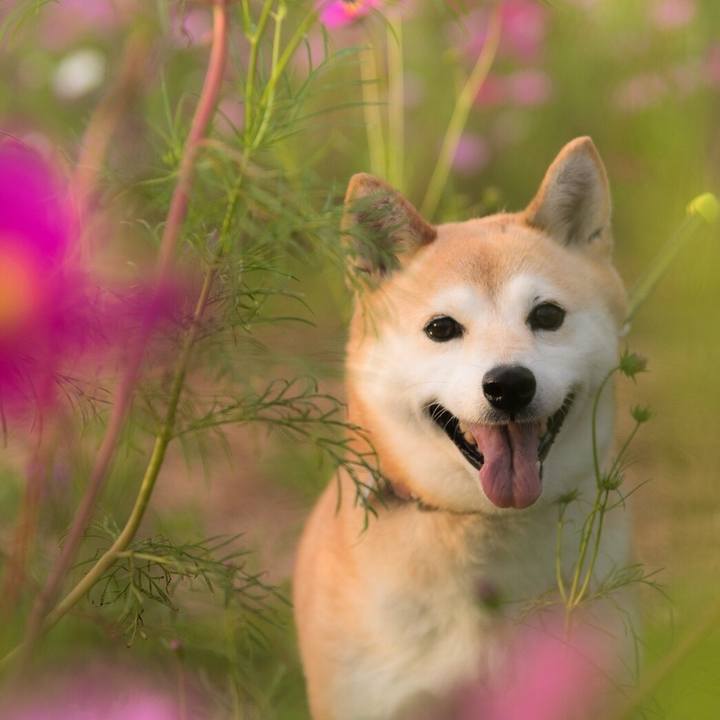 Ac42d150 ab1c 42a3 a9ac 8c8a4b10cc5f 1539778198023