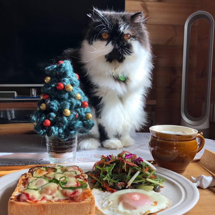 Ac42d221 f212 43f2 ae9b ba29c15a37ad 1543118109118