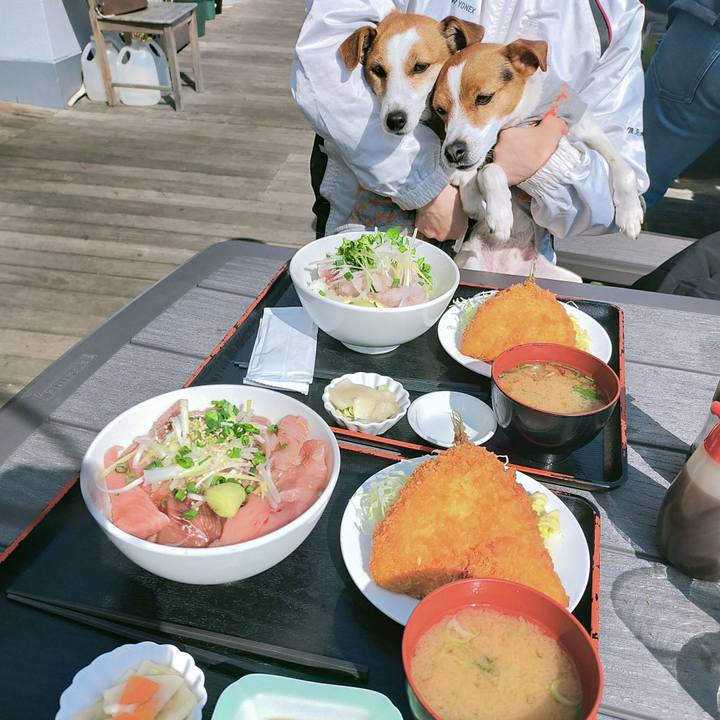 Ac43223c c9a2 4478 bc2f f6f29dc64093 1771055571391