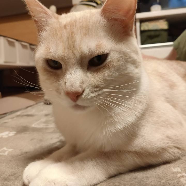 Ac435a9e 1ff3 44f0 b256 c26c461e6f56 1679217284626