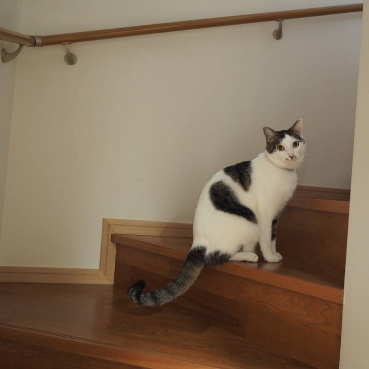 Ac435ae5 afaa 4180 b12d 17b7ebb6ae4d 1536895684121