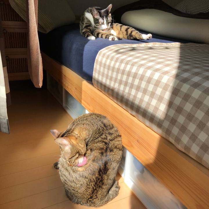 Ac4367a8 e879 4650 95a1 6f164fd46fc6 1519963870588