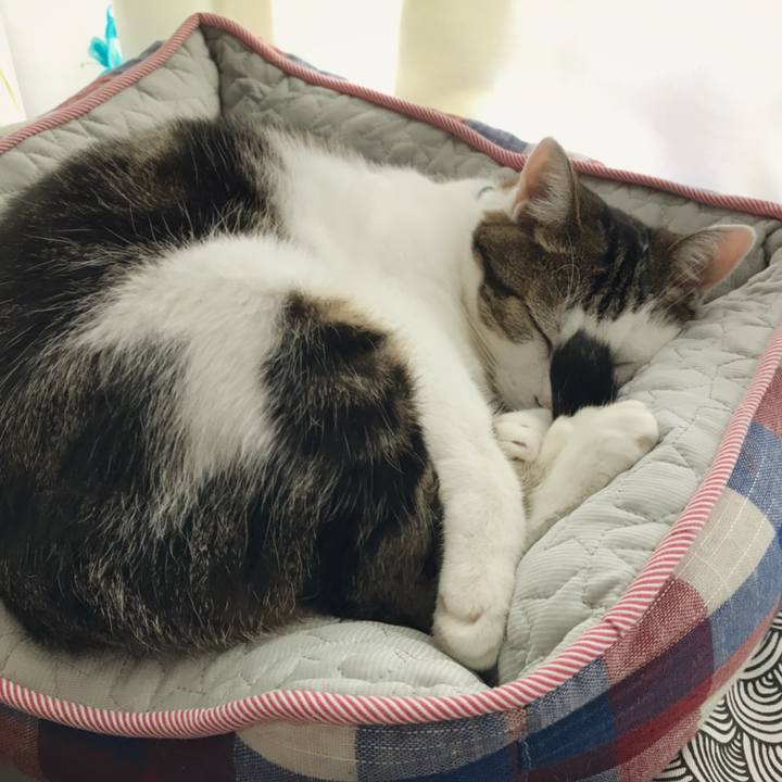 Ac4387bf 7fad 4128 9197 6ef98d8c6076 1536980112597