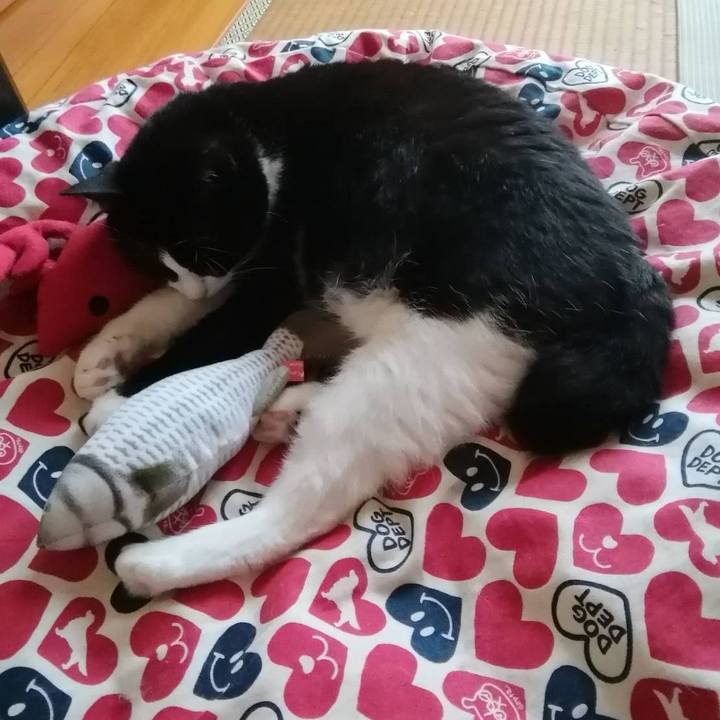 Ac43b5f5 024d 4e38 88f4 58d8bf1bd7b9 1566744132749